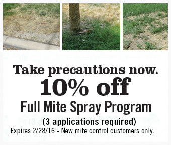 10-percent-off-lawn-service-mites-