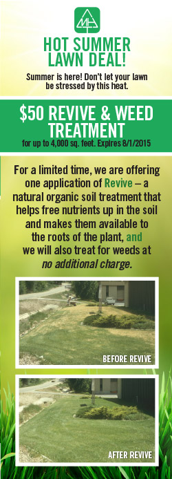 Revive and weeds Revive and weeds