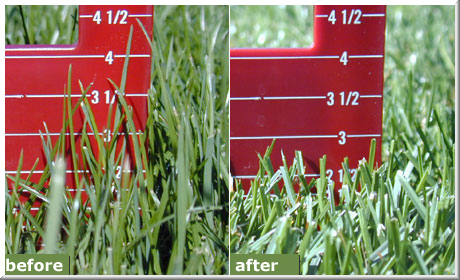 04_before_after_ruler 2