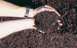 hands holding soil