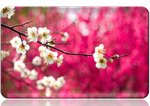 flowers 2 flowers 2