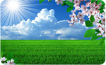 spring 3 spring 3